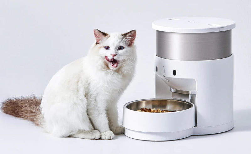 Cat bowls & feeders