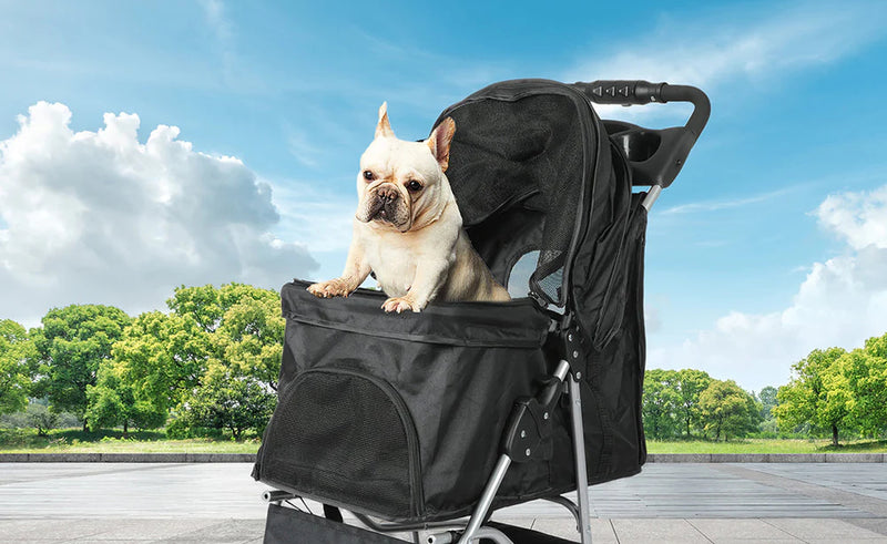 Dog travel accessories