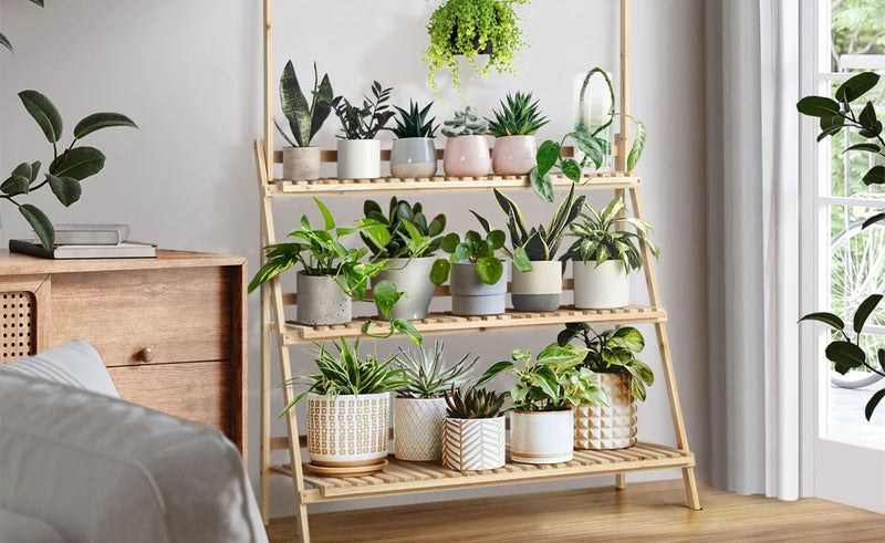 Indoor plants & accessories