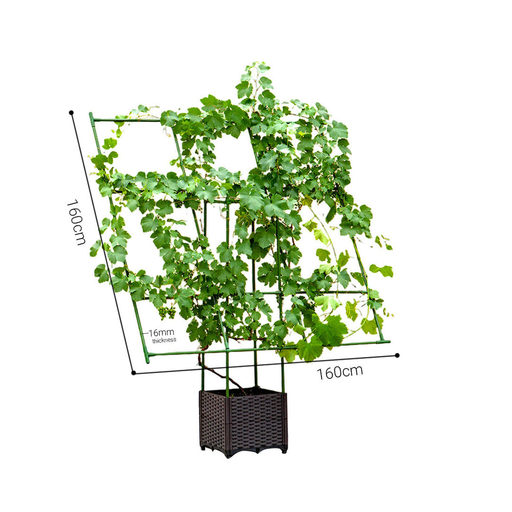 SOGA 160cm Rectangular Inclined Plant Frame Tube Pergola Trellis Vegetable Flower Herbs Outdoor Vine Support Garden Rack