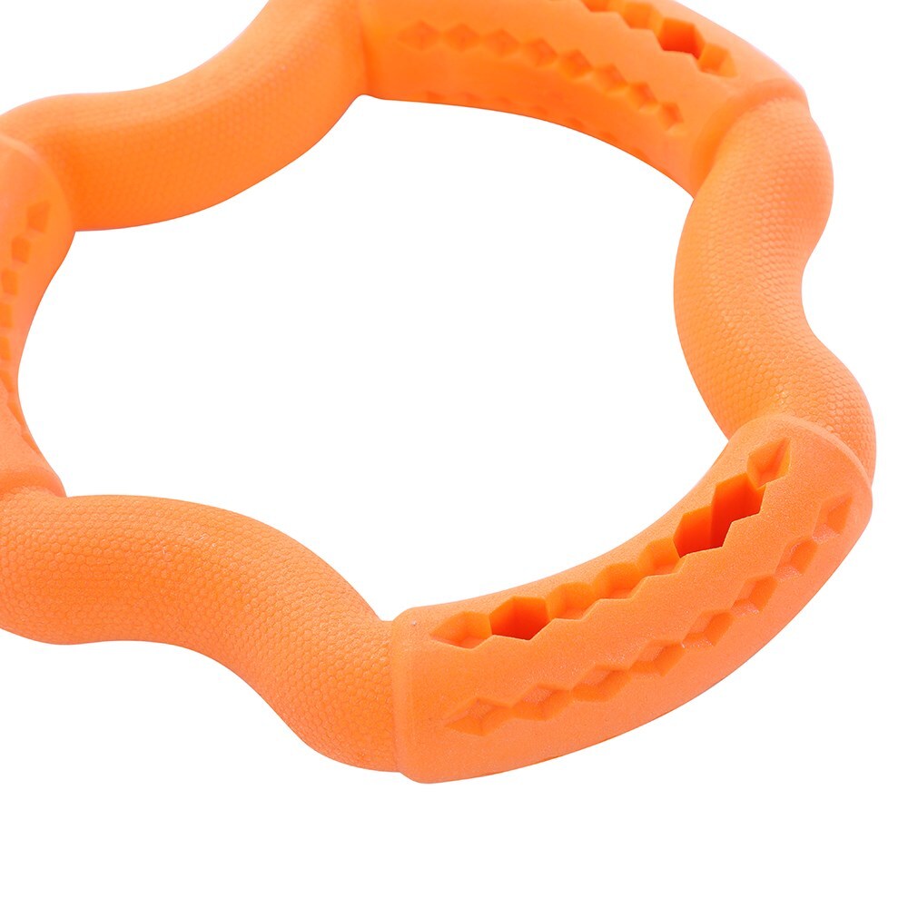 Paws &amp; Claws 21x21x3.6cm Fetch N&#39; Play Treat Ring Dog/Pet Toy Assorted