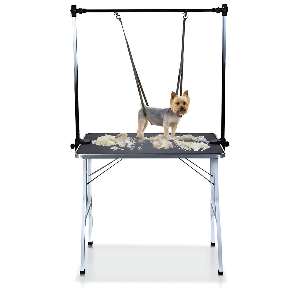 FLOOFI Portable Foldable Tool with Loop Noose Double Pole Pet Dog Grooming Table with Arm - Black