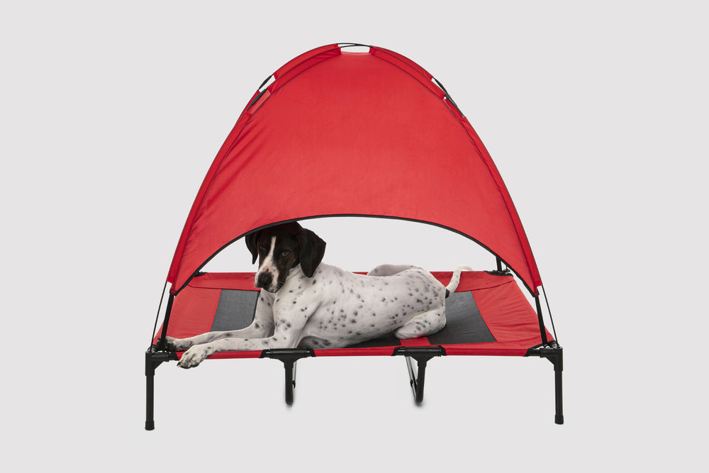 Charlie&#39;s Shadey Trampoline Hammock Tent Pet Bed Medium