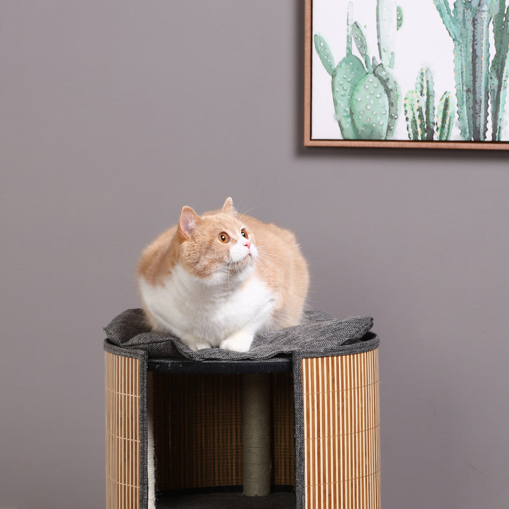 Charlie&#39;s Deluxe Bamboo Detachable Cat Barrel Scratcher Small Two Level