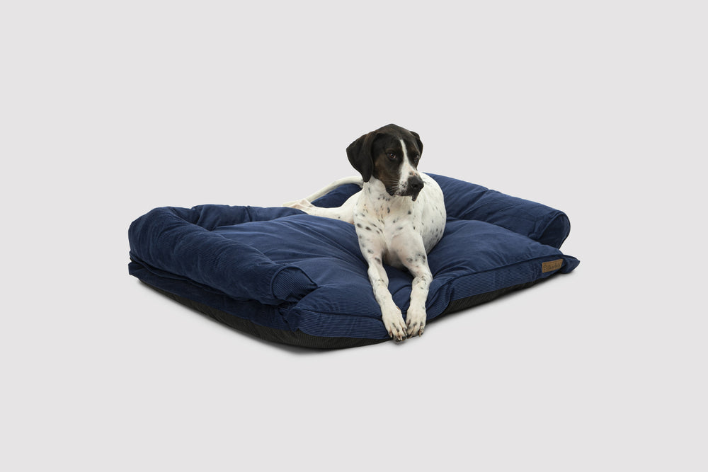 Charlie&#39;s Corduroy Dog Sofa Bed Navy Medium