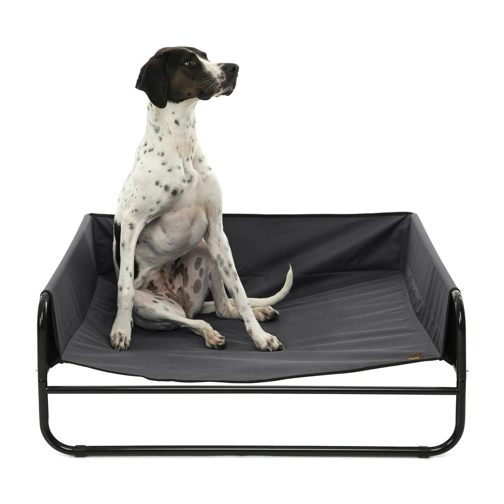 Charlie&#39;s High Walled Outdoor Trampoline Pet Bed Cot Black Medium