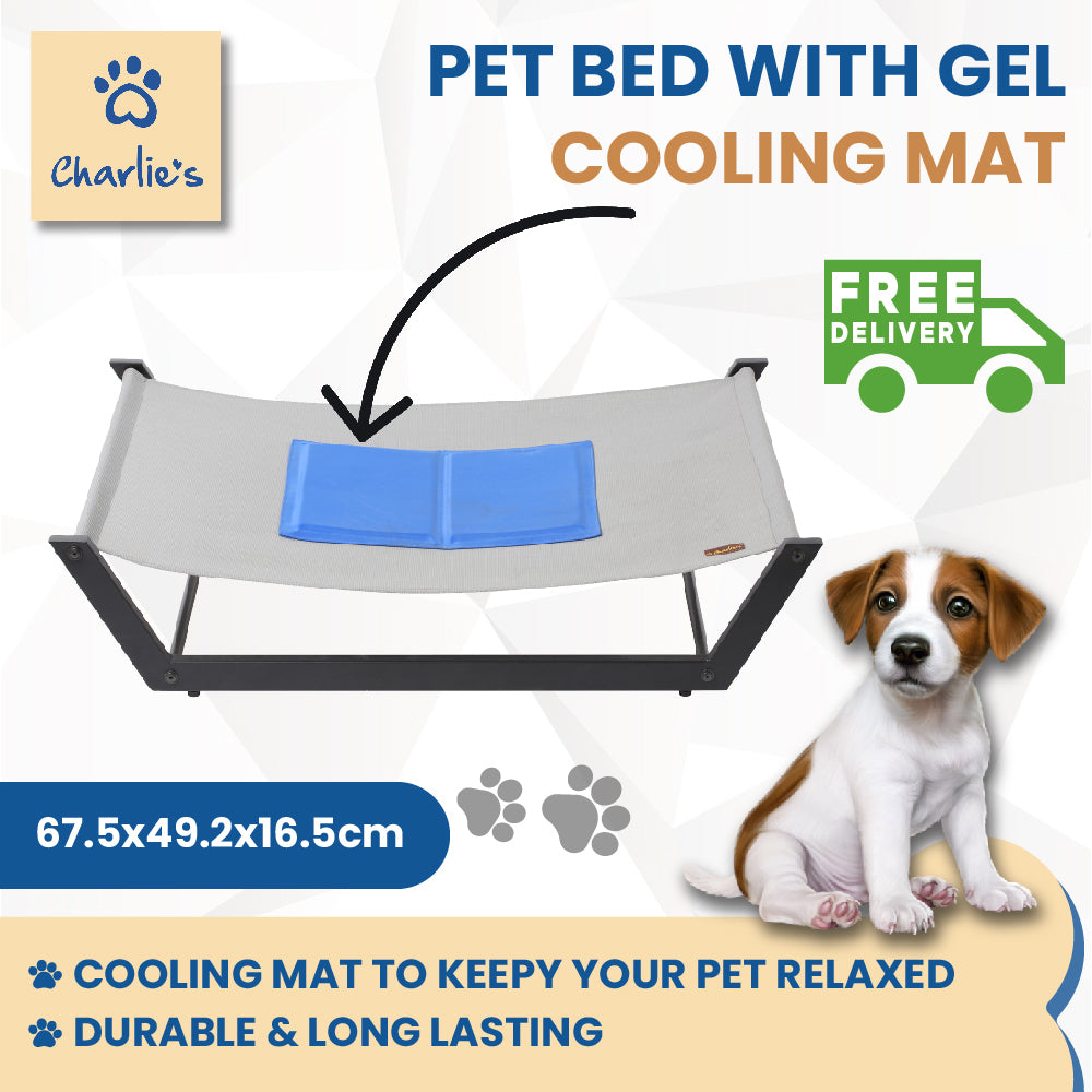 Charlie&#39;s Elevated Steel Hammock Cooling Dog Bed with Gel Mat Grey 67.5x49.2x16.5cm