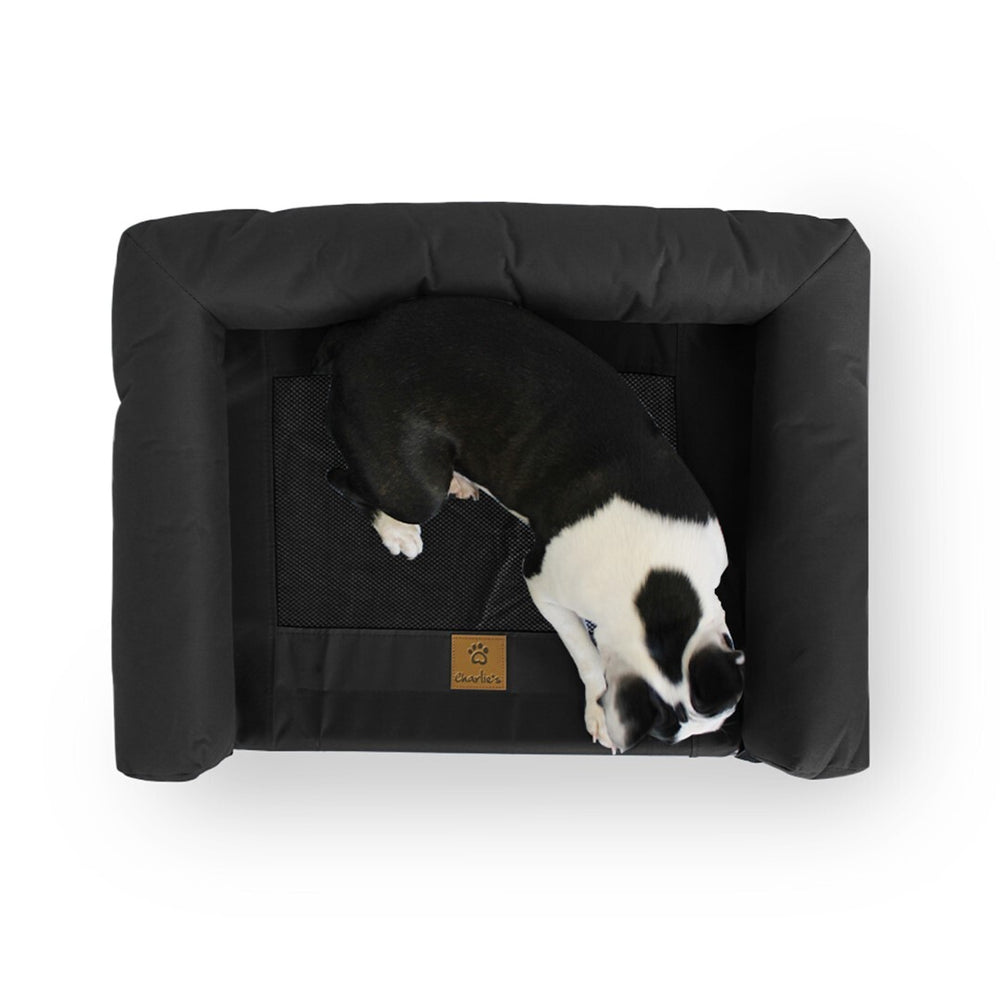 Charlie&#39;s Elevated Trampoline Bolster Sofa Dog Bed Black Medium