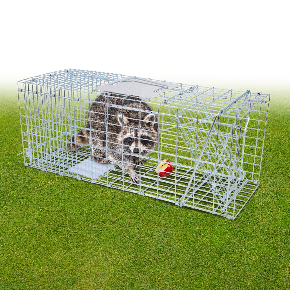 NOVEDEN Folding Humane Live Catch Possum Fox Koala Rabbit Bird Cat Animal Trap Cage