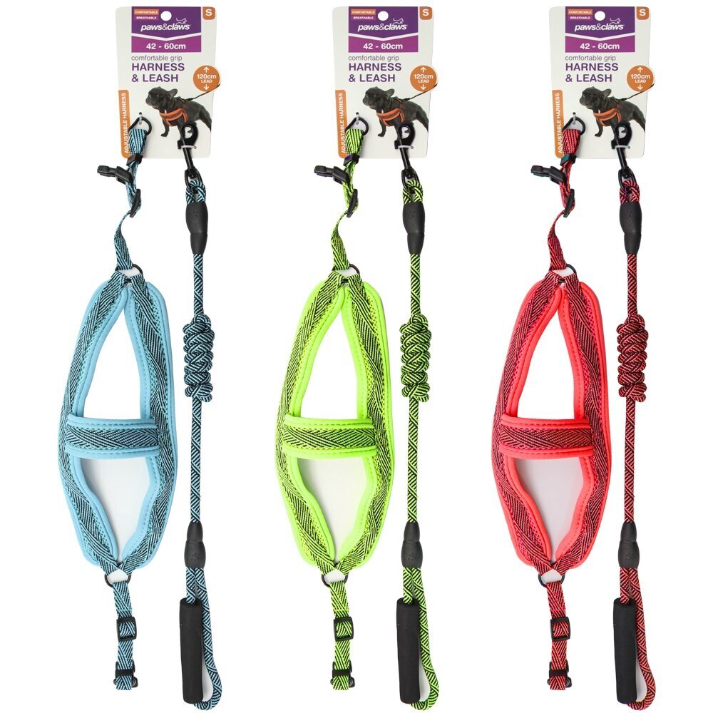 Paws &amp; Claws Mesh Lead &amp; Harness 1.5cmx120cm 42-60cm Small Assorted