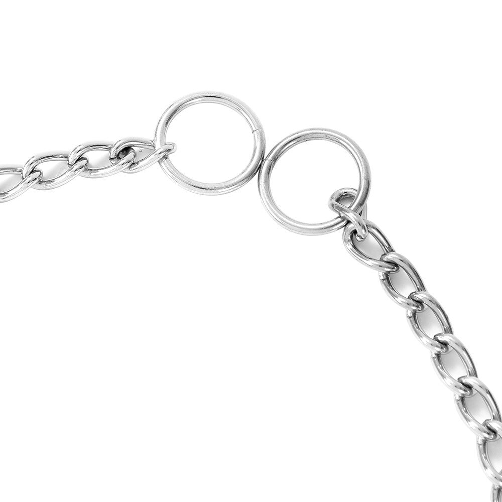 Paws &amp; Claws 65cm Chain Dog Collar L