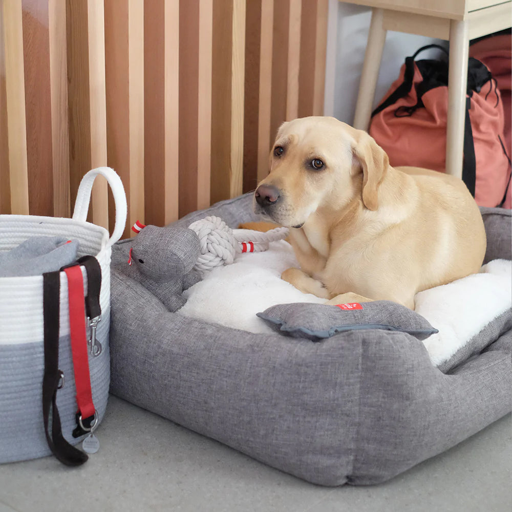 Louie Living Rectangle Pet/Dog Lounger Bed Medium - Grey