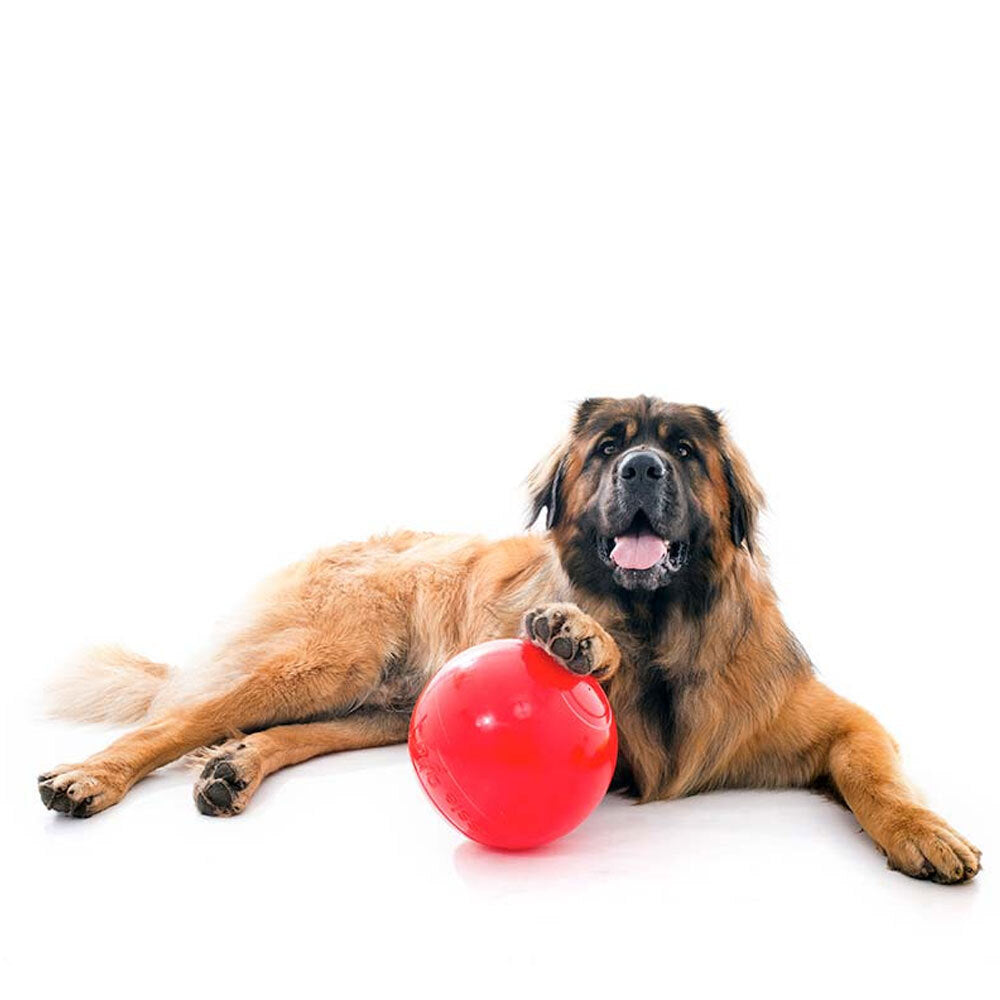 Aussie Dog Products 24cm Enduro Pet Toy Hard Ball Red L