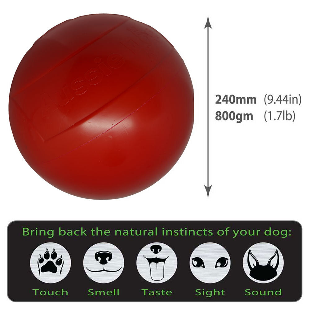 Aussie Dog Products 24cm Enduro Pet Toy Hard Ball Red L