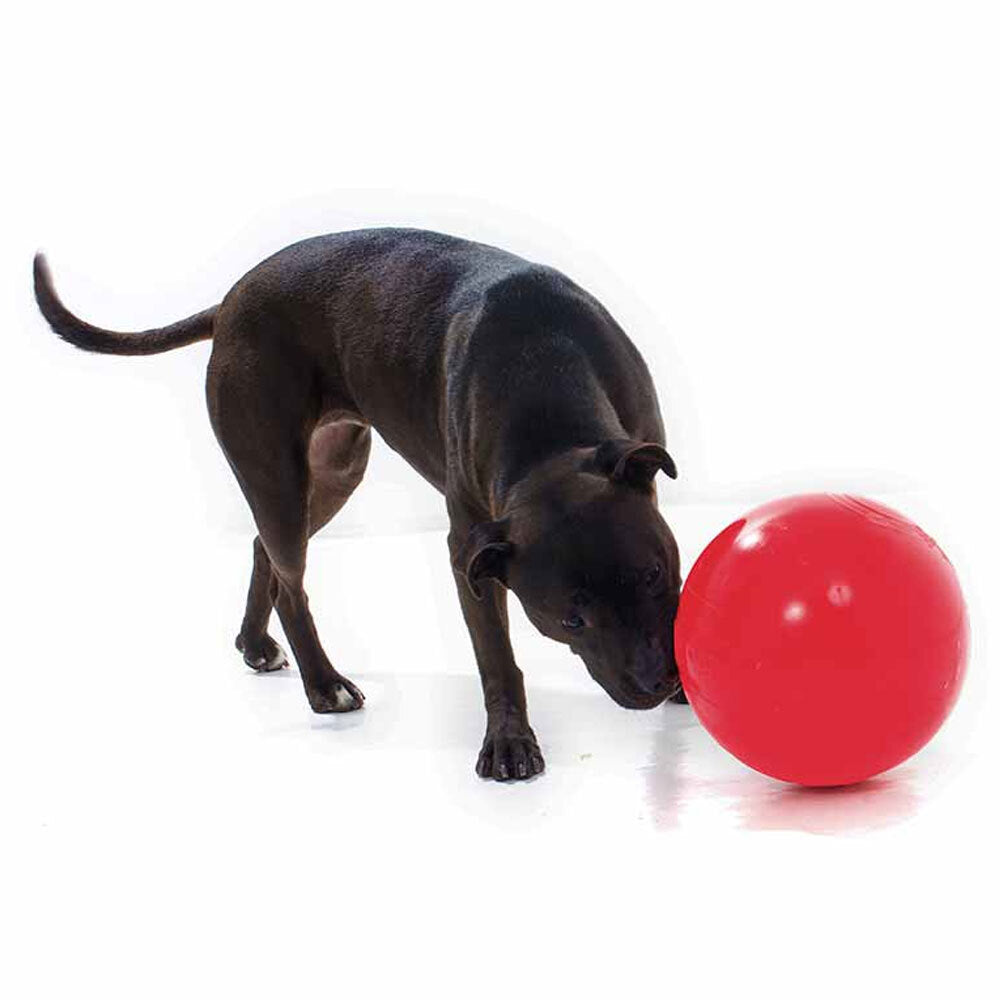 Aussie Dog Products 24cm Enduro Pet Toy Hard Ball Red L