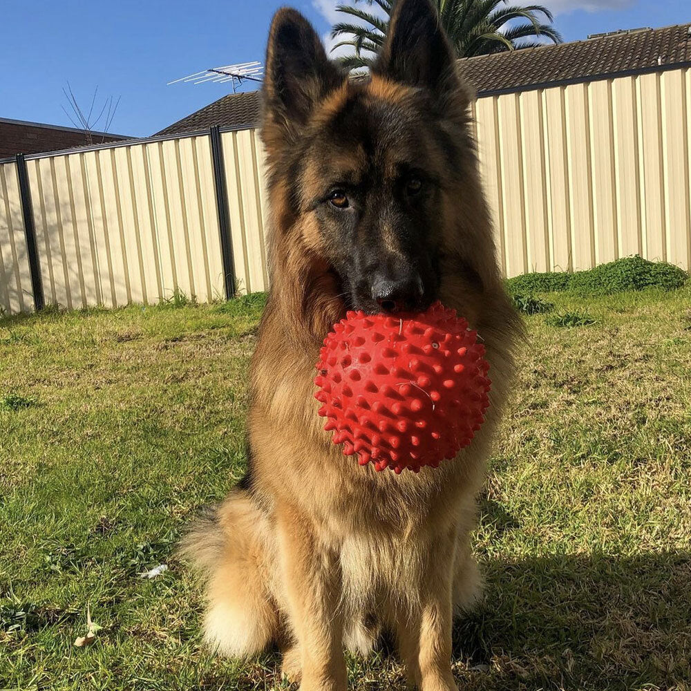 Aussie Dog Products 18cm Mitch Pet Toy Hard Ball Red M
