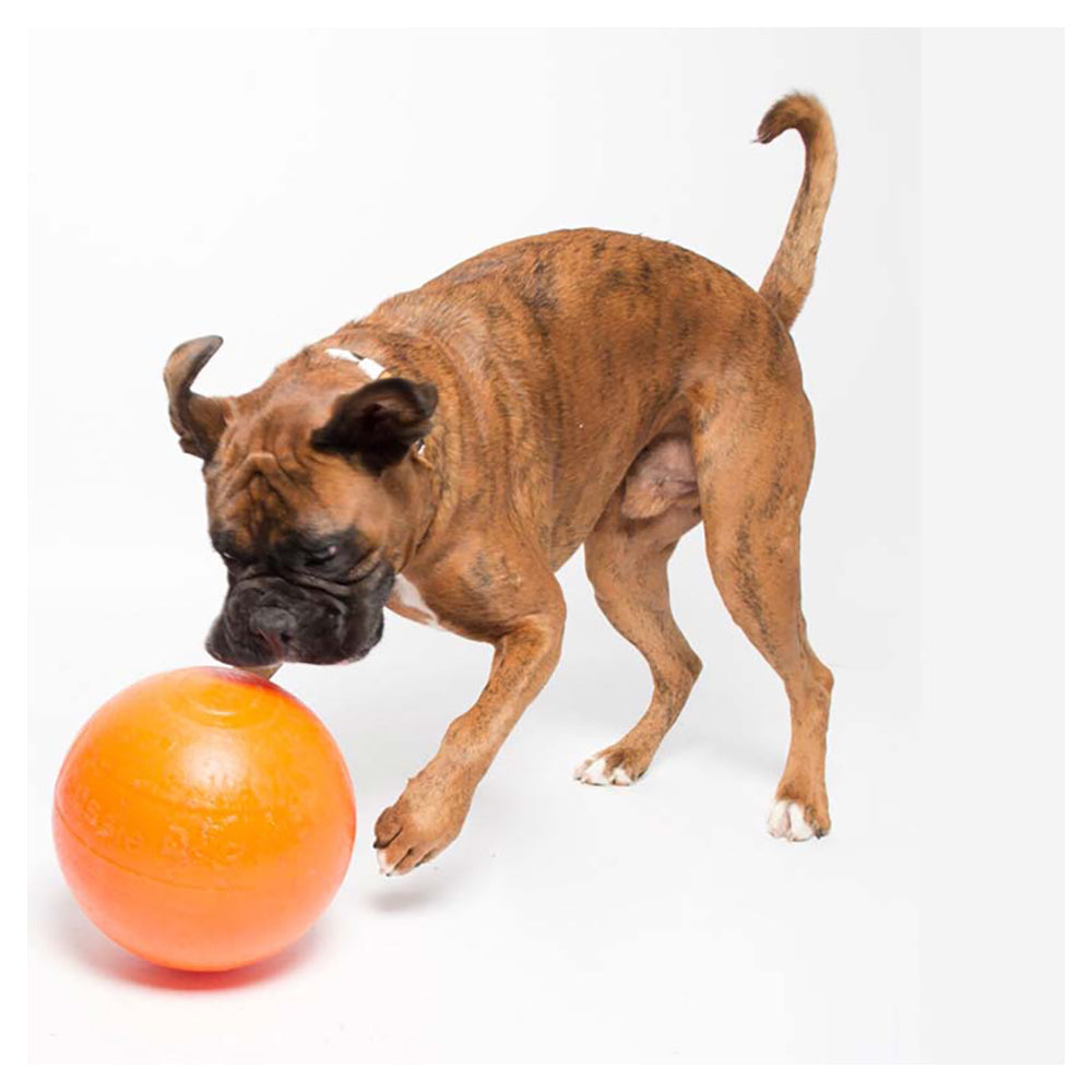 Aussie Dog 240mm Staffie Ball - Orange