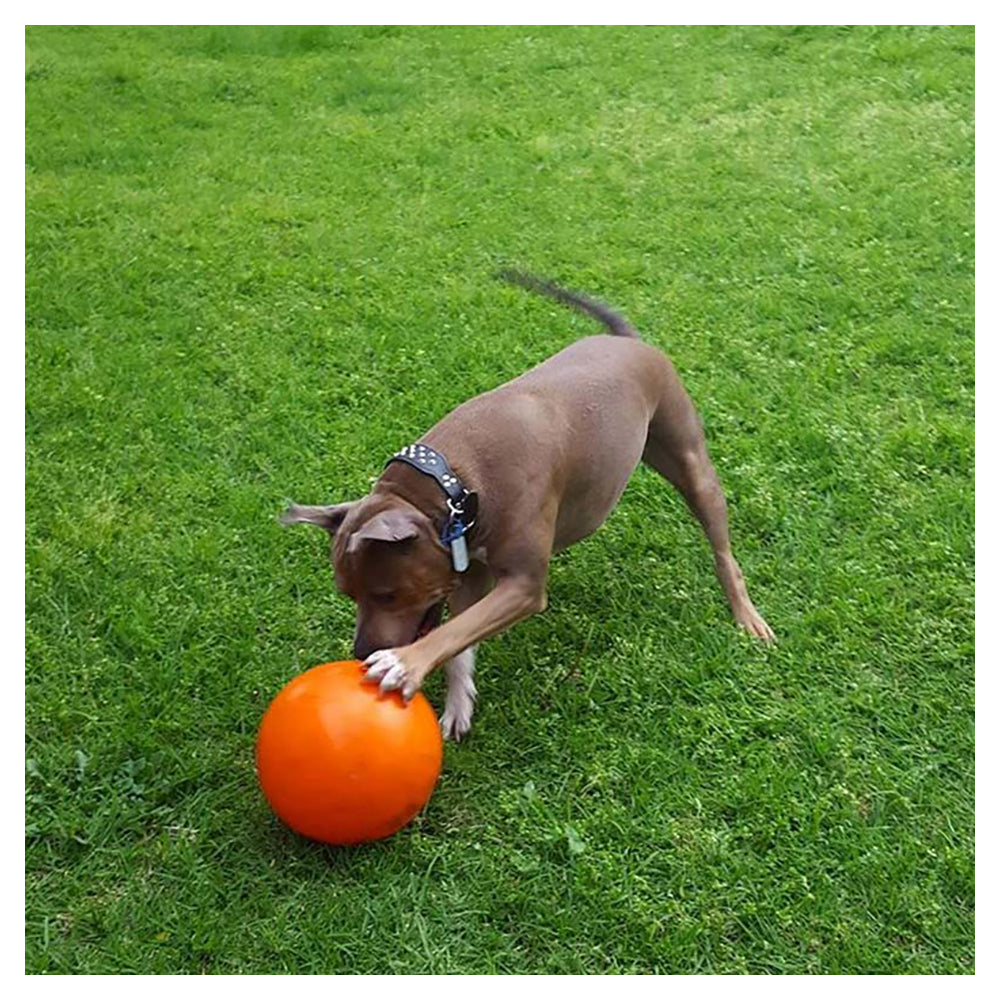 Aussie Dog 240mm Staffie Ball - Orange