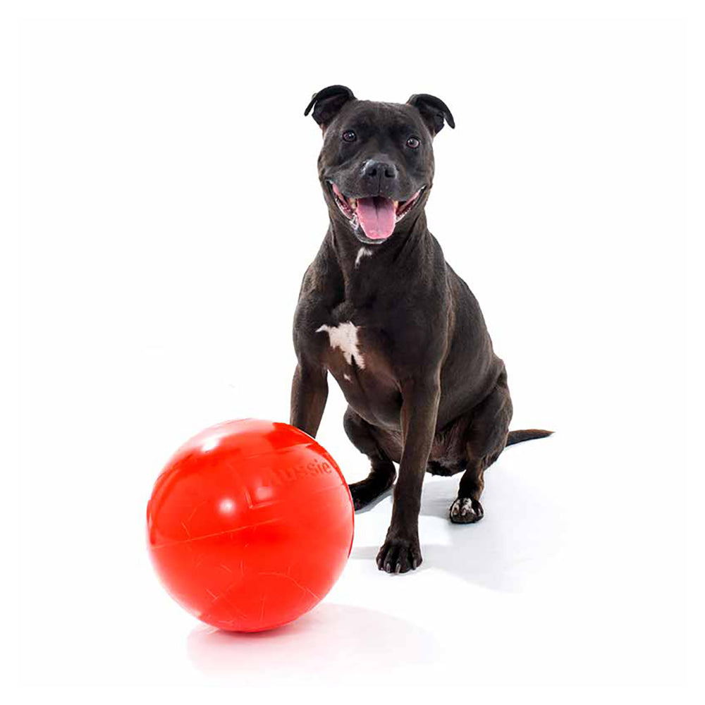 Aussie Dog 240mm Staffie Ball - Orange