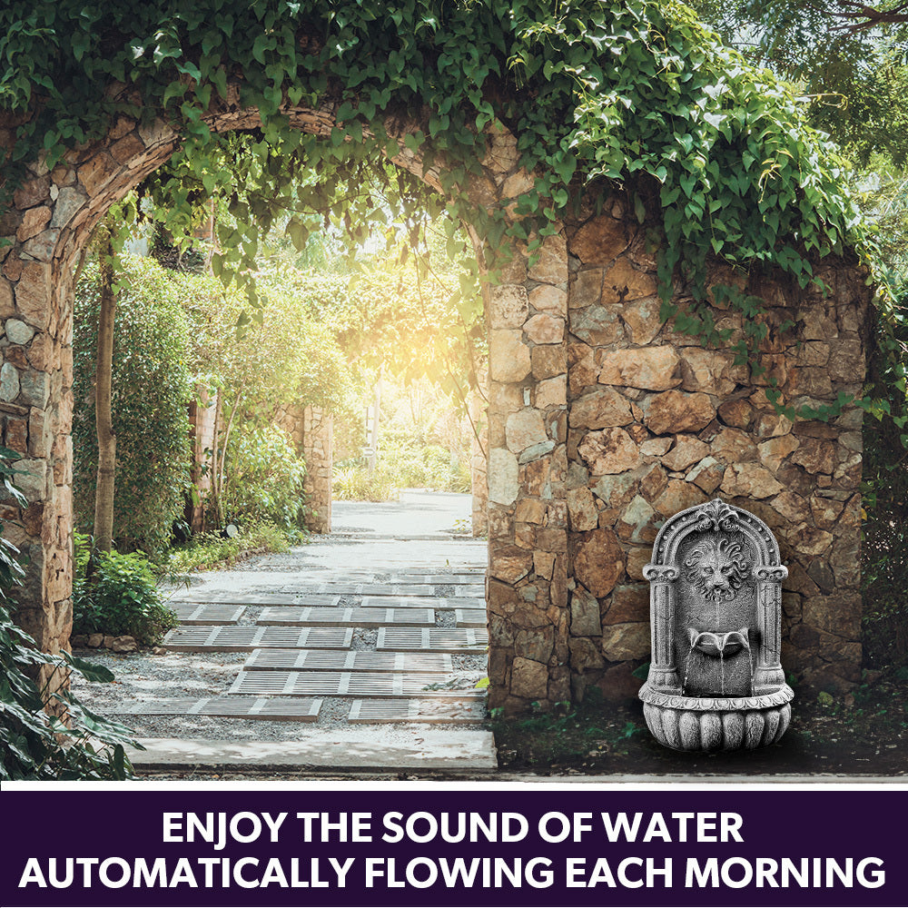 PROTEGE Lion Head Solar Powered Water Feature Fountain, Traditional Design, with Panel Kit, LED Lights