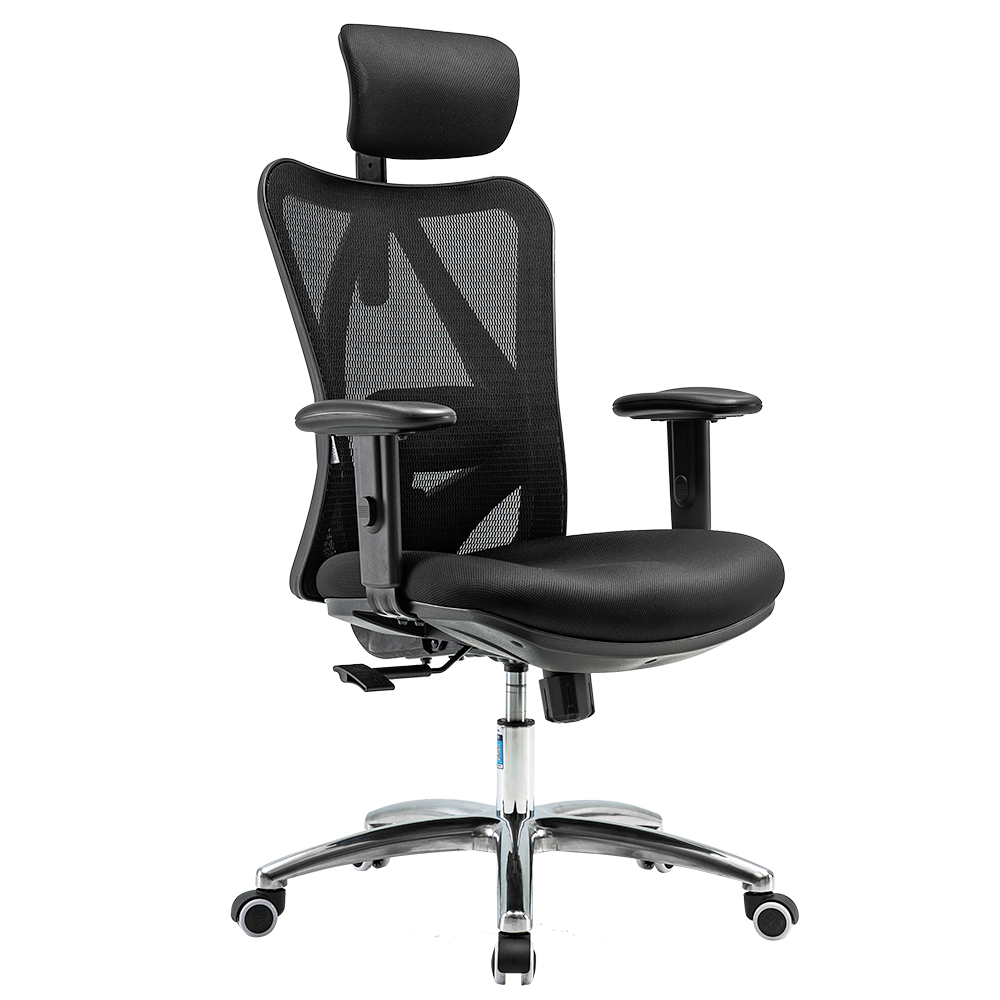 SIHOO M18 Ergonomic Home Office Chair - Black