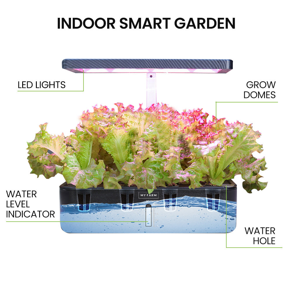 PLANTCRAFT 12 Pod Indoor Hydroponic Growing System, with Water Level Window &amp; Pump, Black