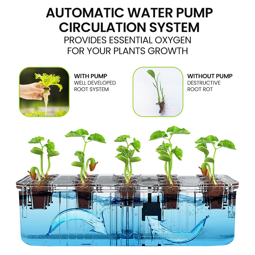 PLANTCRAFT 12 Pod Indoor Hydroponic Growing System, with Water Level Window &amp; Pump, Black