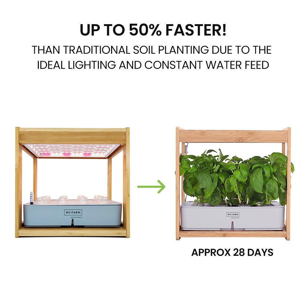 PLANTCRAFT 12 Pod Indoor Hydroponic Growing System with Bamboo Frame &amp; LED Lights