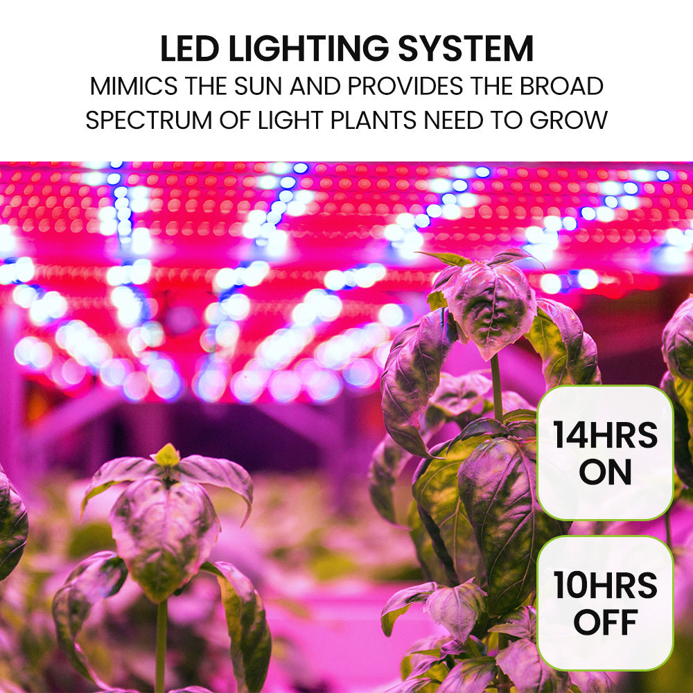 PLANTCRAFT 12 Pod Indoor Hydroponic Growing System with Bamboo Frame &amp; LED Lights