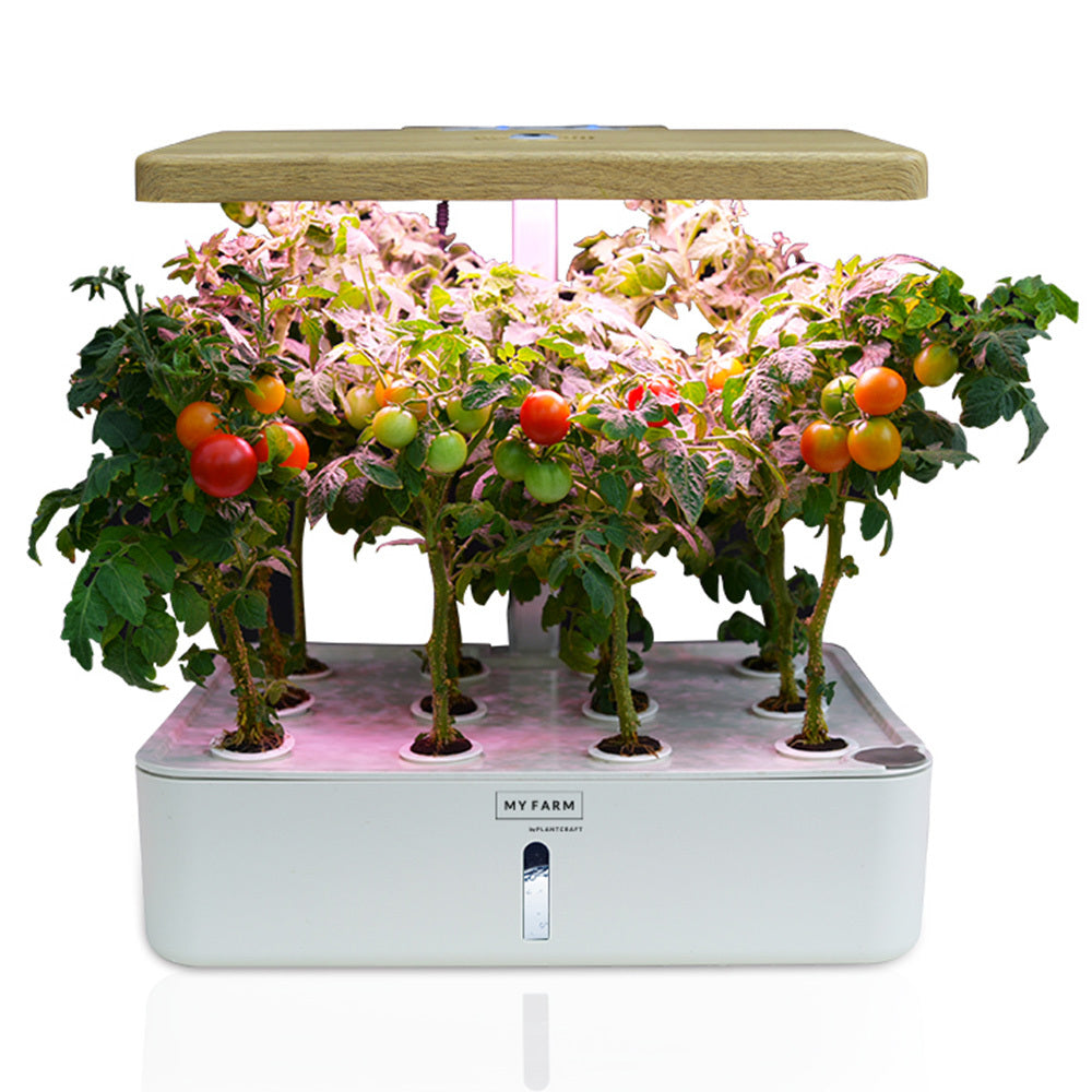 PLANTCRAFT 12 Pod Indoor Hydroponic Growing System, with Water Level Window &amp; Pump, White