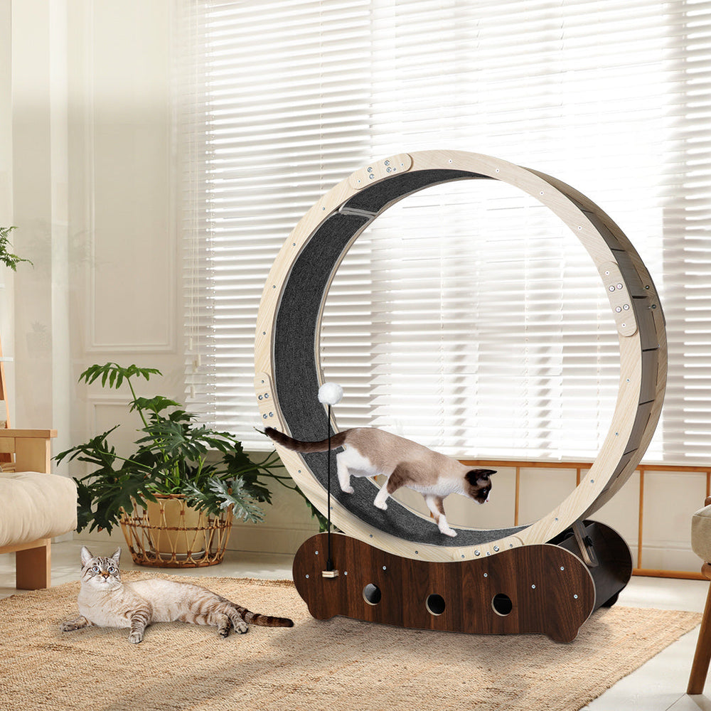 Pawz Cat Exercise Wheel Running Treadmill Exerciser Scratcher Toy Furniture 50kg