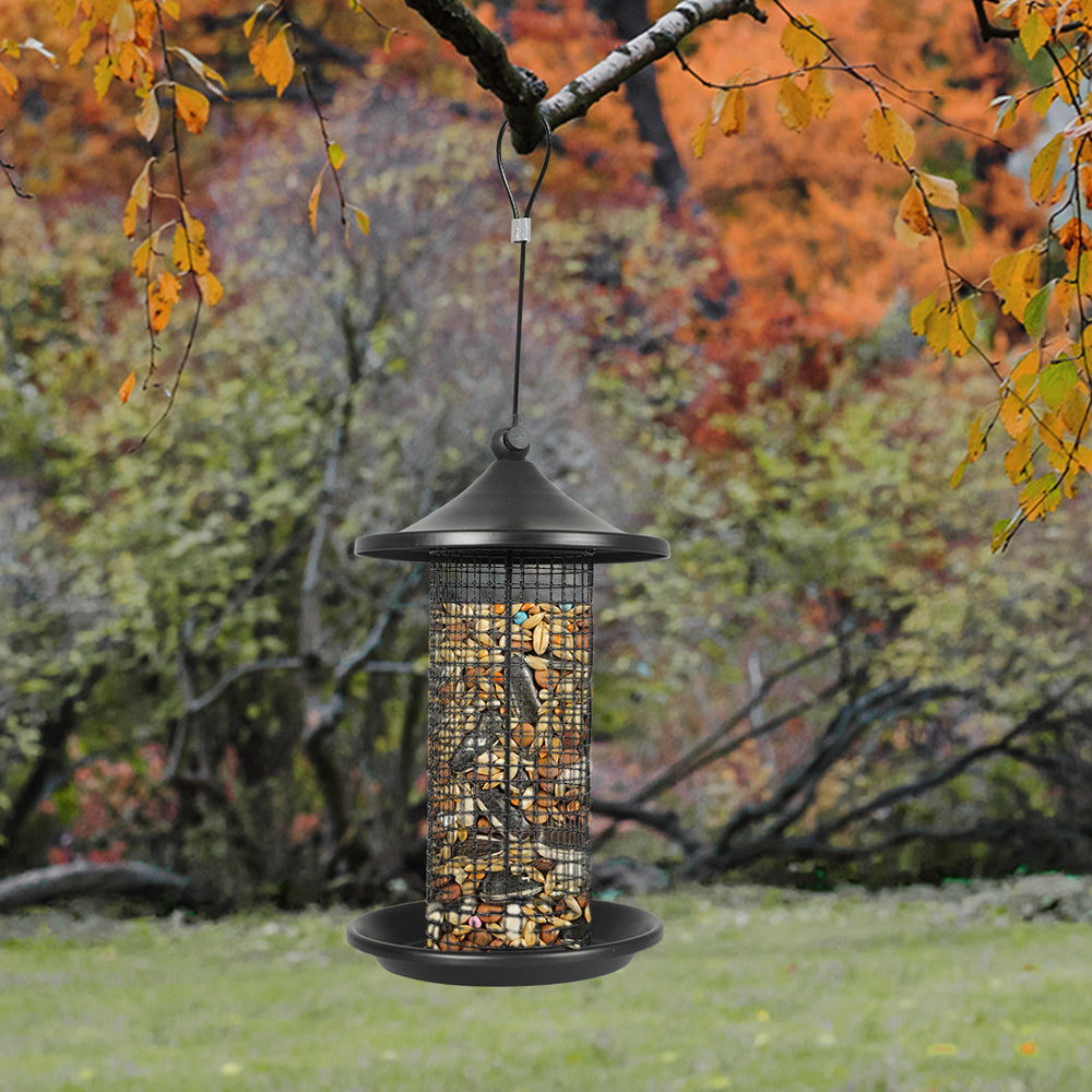 Pawz 3x Bird Feeder Hanging Wild Seed Container Hanger Stand Outdoor Garden
