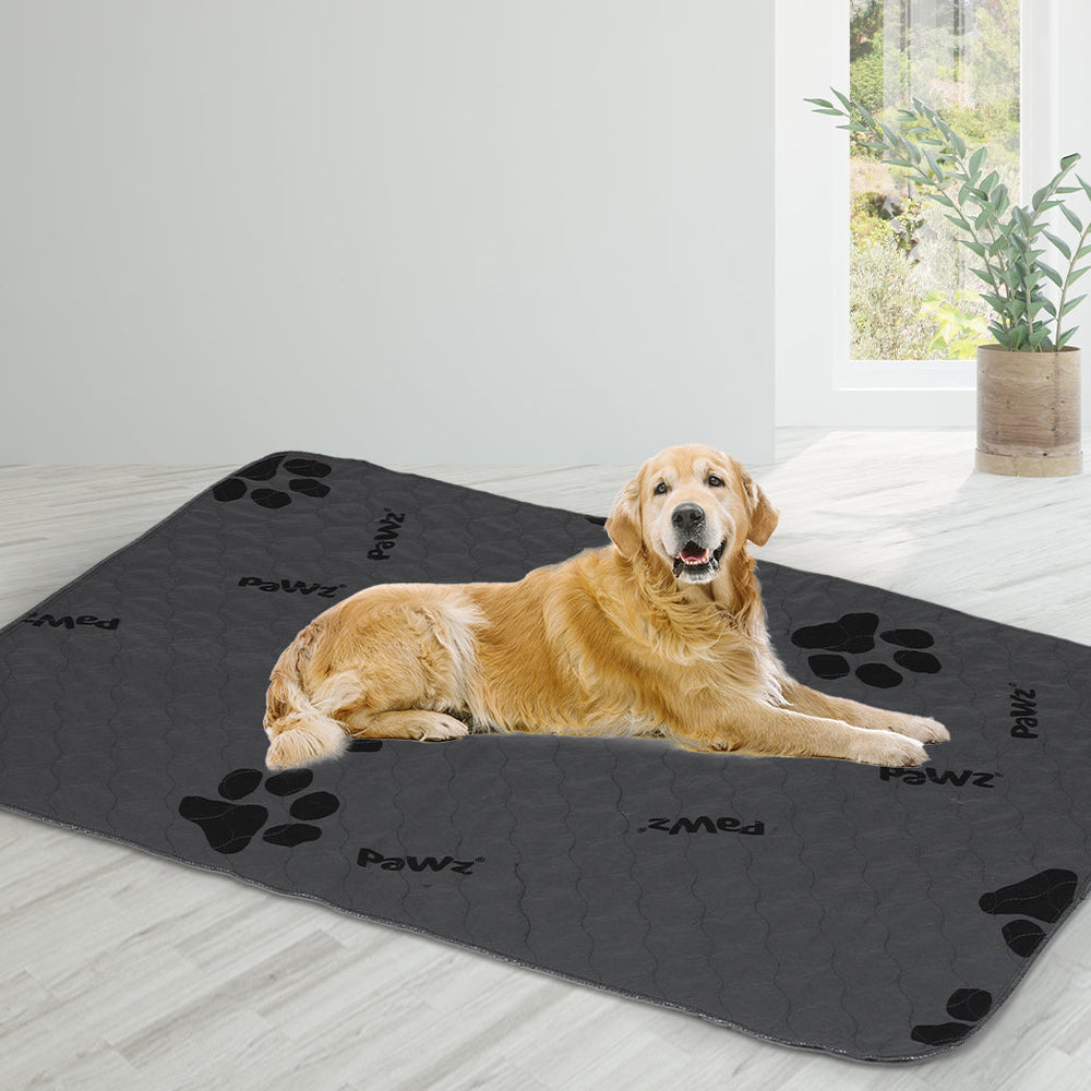 Pawz 4x Washable Dog Puppy Training Pad Pee Puppy Reusable Cushion King Grey