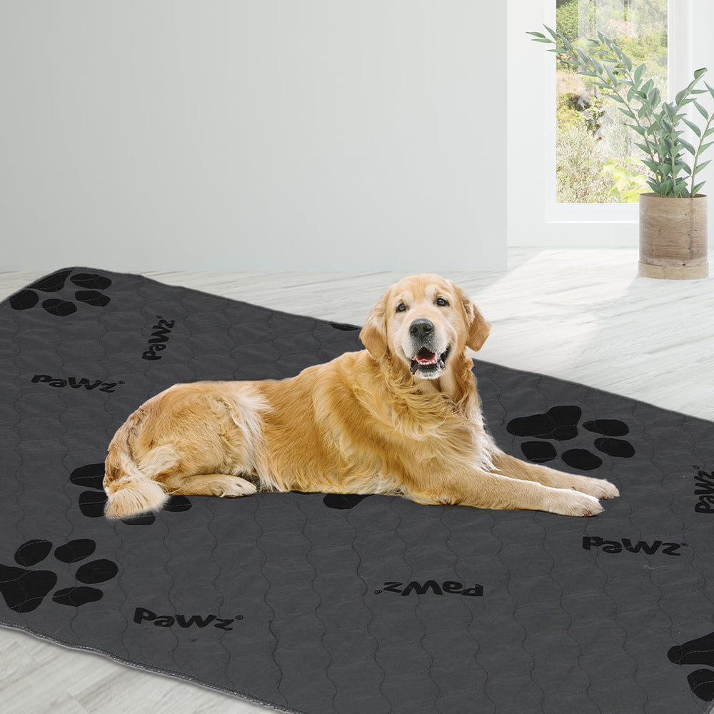 Pawz 4x Washable Dog Puppy Training Pad Pee Puppy Reusable Cushion Jumbo Grey