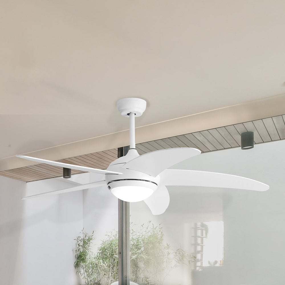 Spector Ceiling Fan 52&#39;&#39; DC Motor Wood Blades LED Light Remote Control 5 Speed