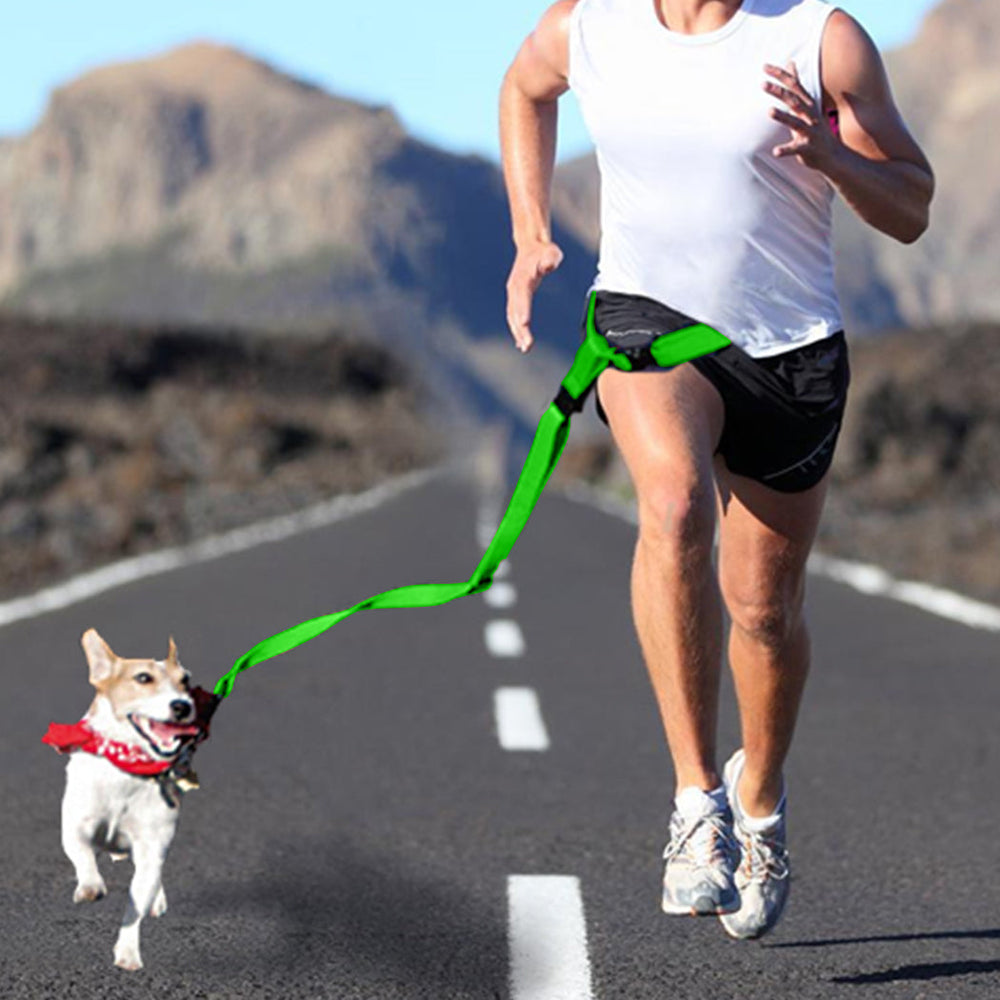 Adjustable Dog Hands Free Leash Waist Belt  Jogging Walking Running Green