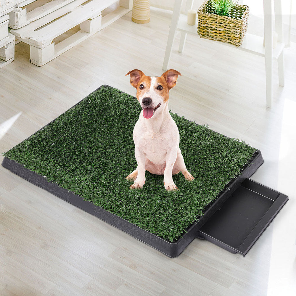 Pawz Indoor Dog Pet Grass Potty Training Portable Toilet Pad Tray Turf Mat Large