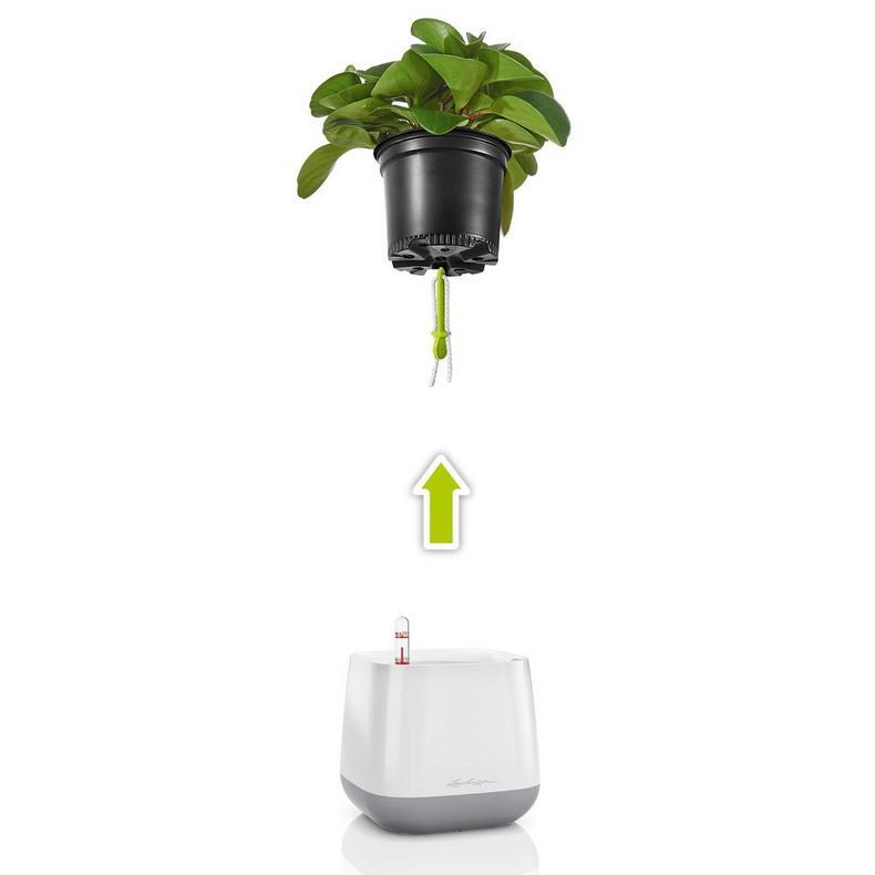 YULA Planter - White / Grey