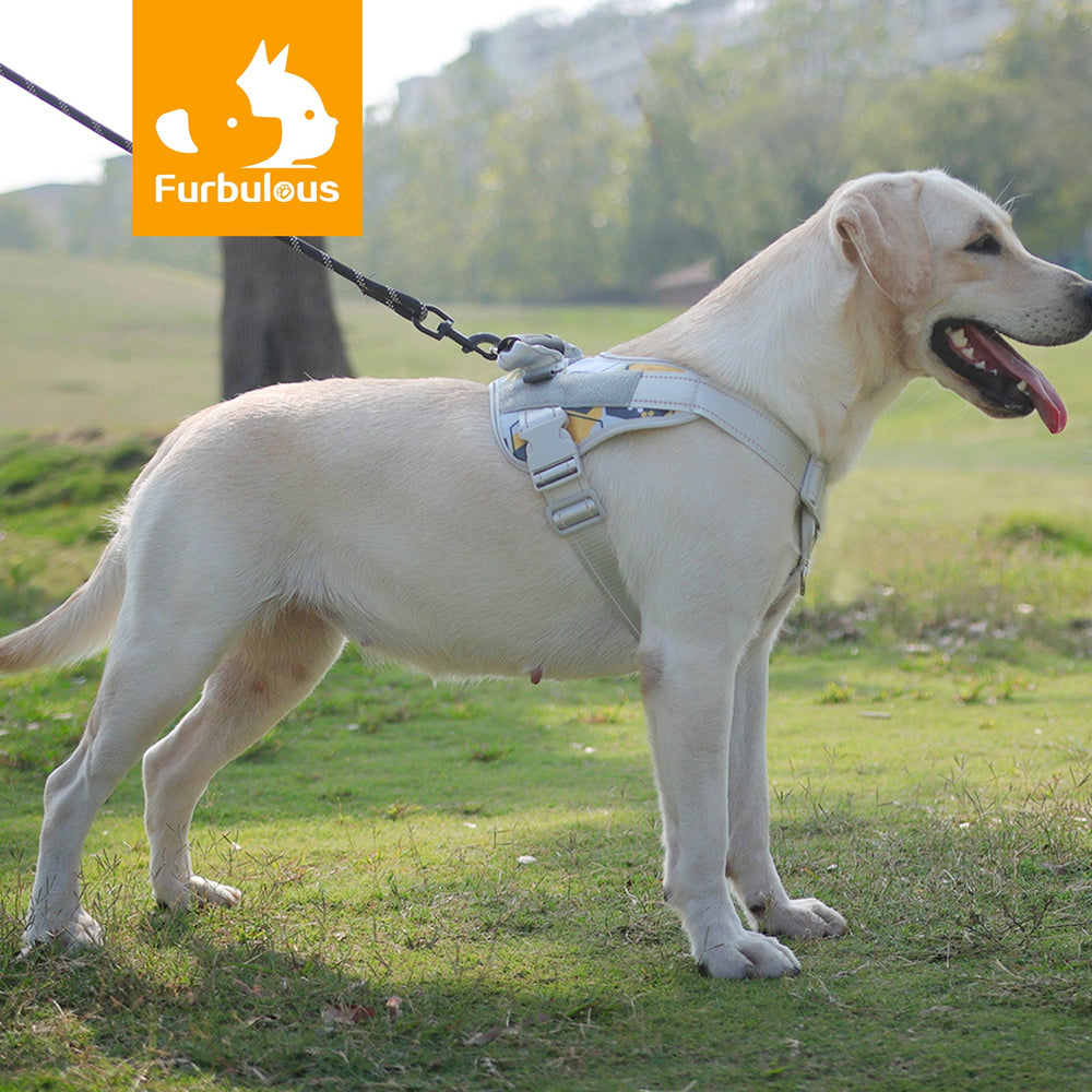 Furbulous No Pull Dog Harness Adjustable Pet Harness Reflective Explosion-proof Shock Dog Harness with 1.5m Lead - Yellow Small