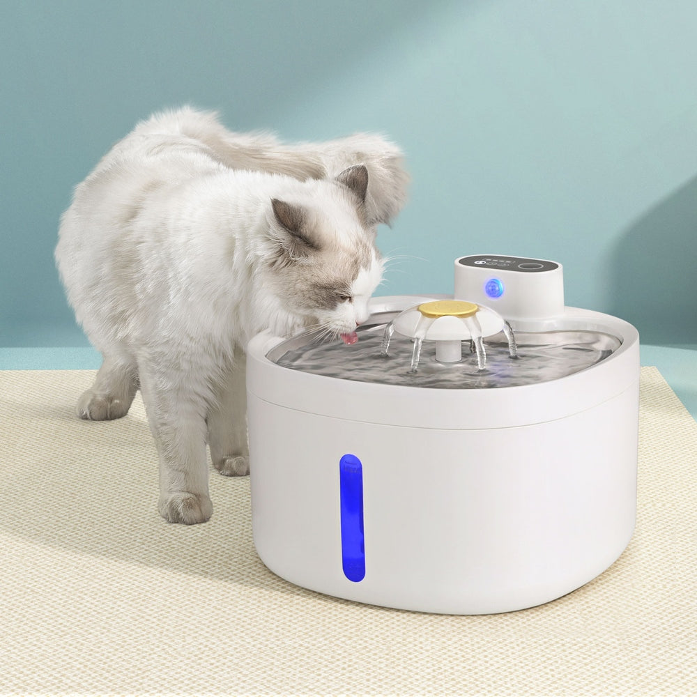 i.Pet Pet Water Fountain Automatic Electric 2.6L