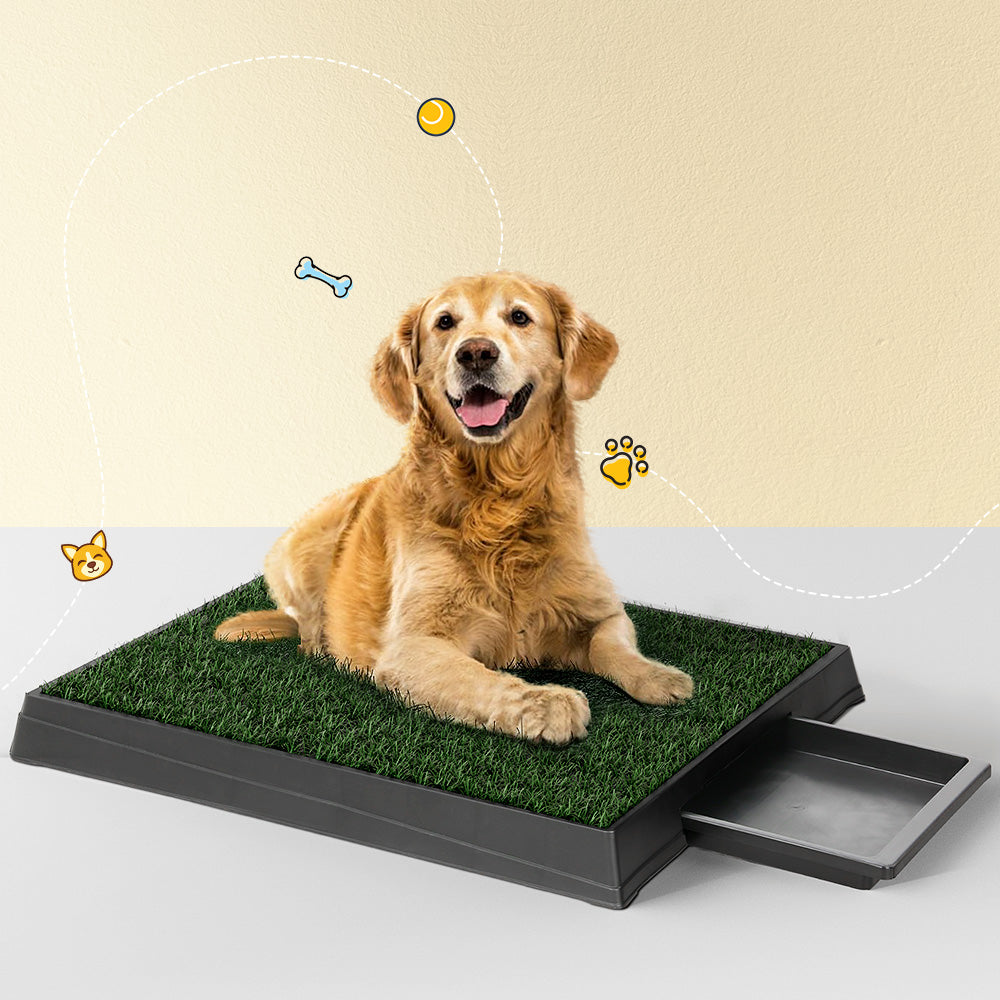 i.Pet Pet Training Pad Dog Potty Toilet Large Tray 2 Mats