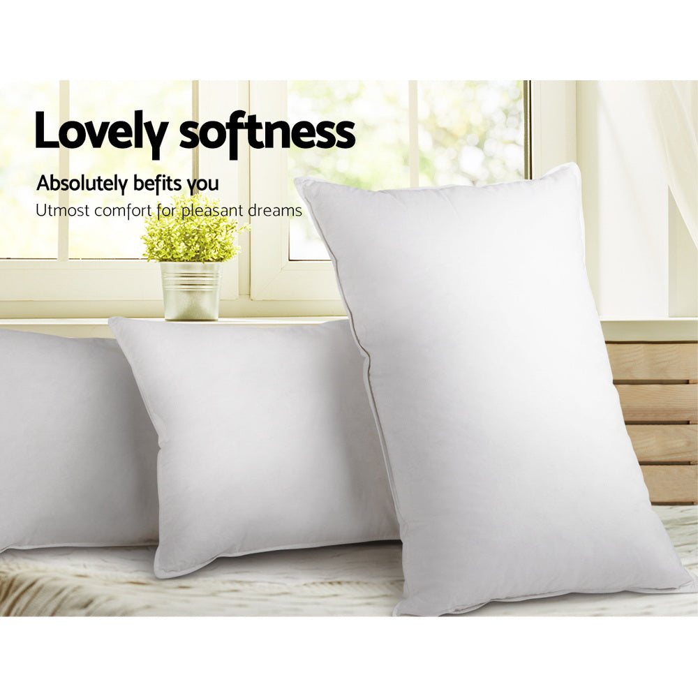 Giselle Bedding 2x Goose Feather and Down Pillow