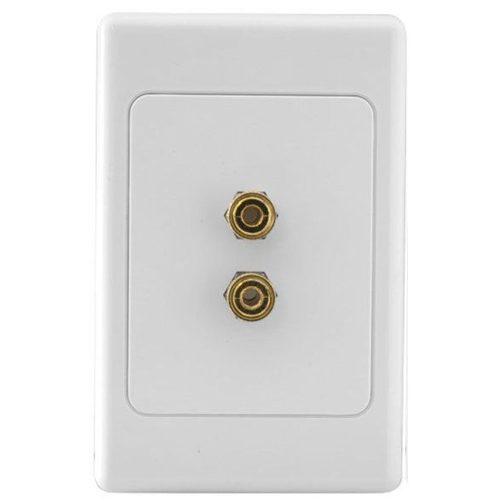 1 way 2 Terminal Speaker Wall Plate