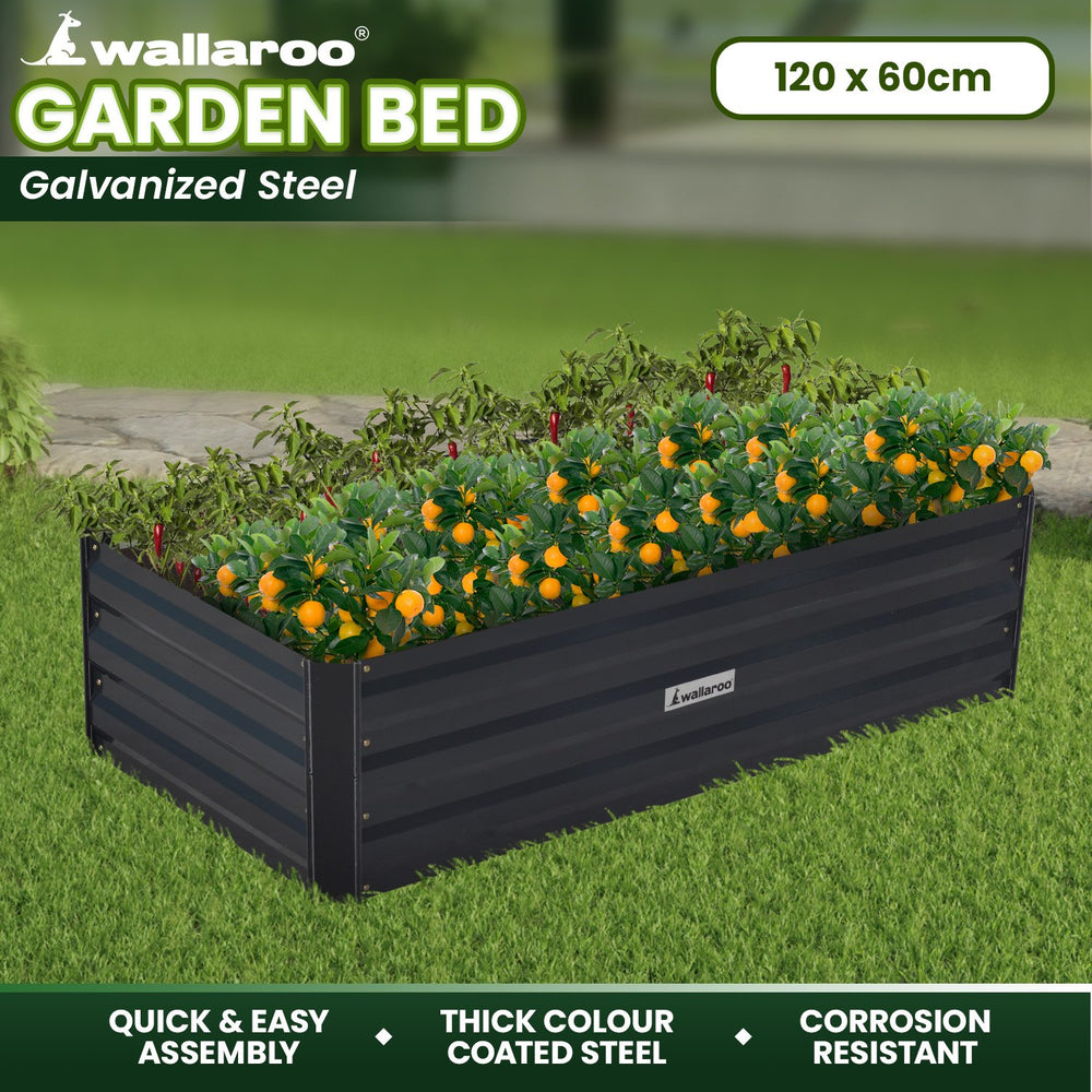 Wallaroo Garden Bed 120 x 60 x 30cm - Black