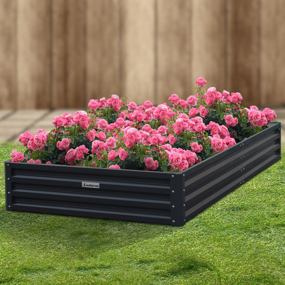 Wallaroo Garden Bed 240 x 120 x 30cm - Black