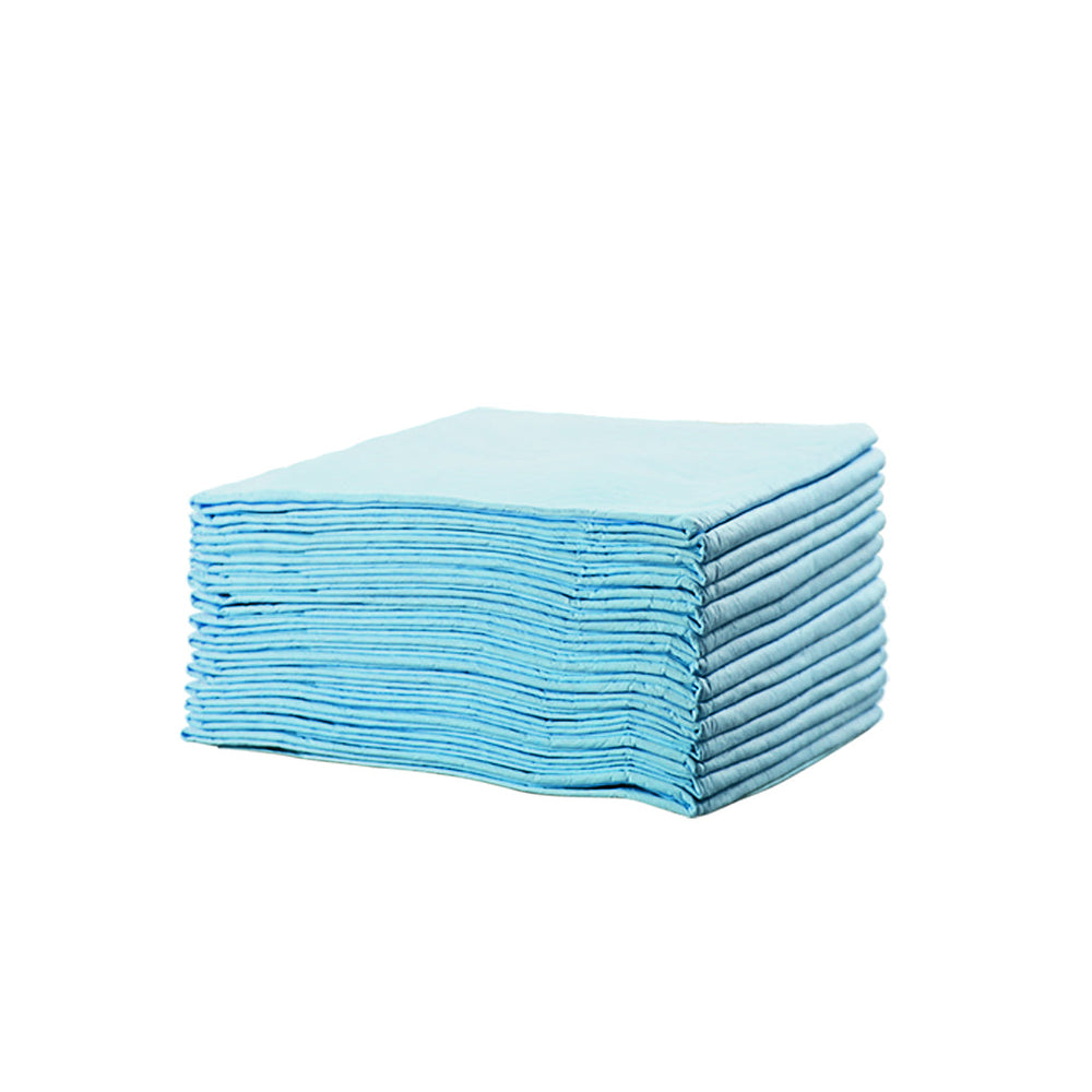 Pawz 100 Pcs 60x60cm Ultra Absorbent Puppy Pet Dog Cat Toilet Training Pads Blue