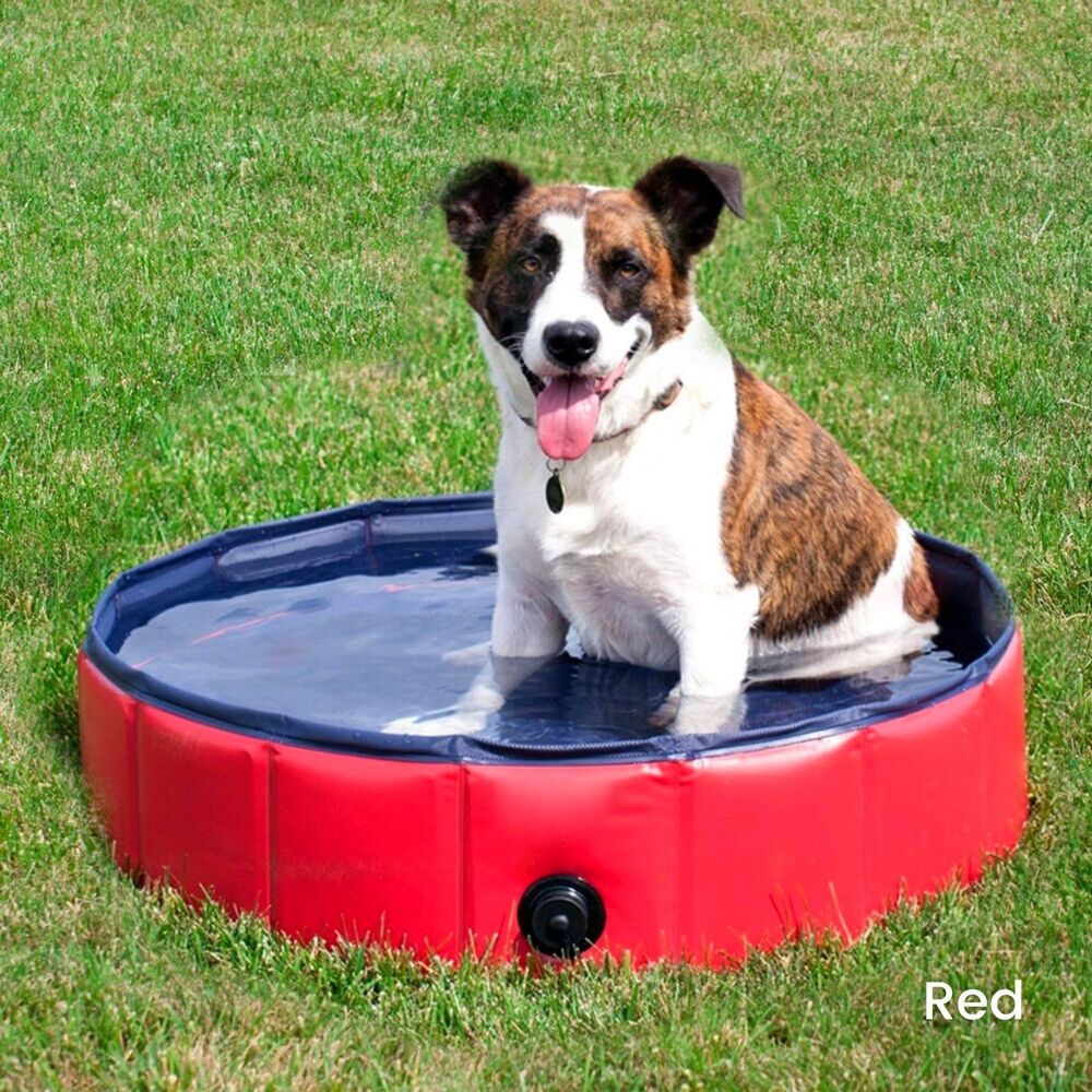 Floofi Pet Pool 160cm*30cm XXL (Double Extra Large, Red)