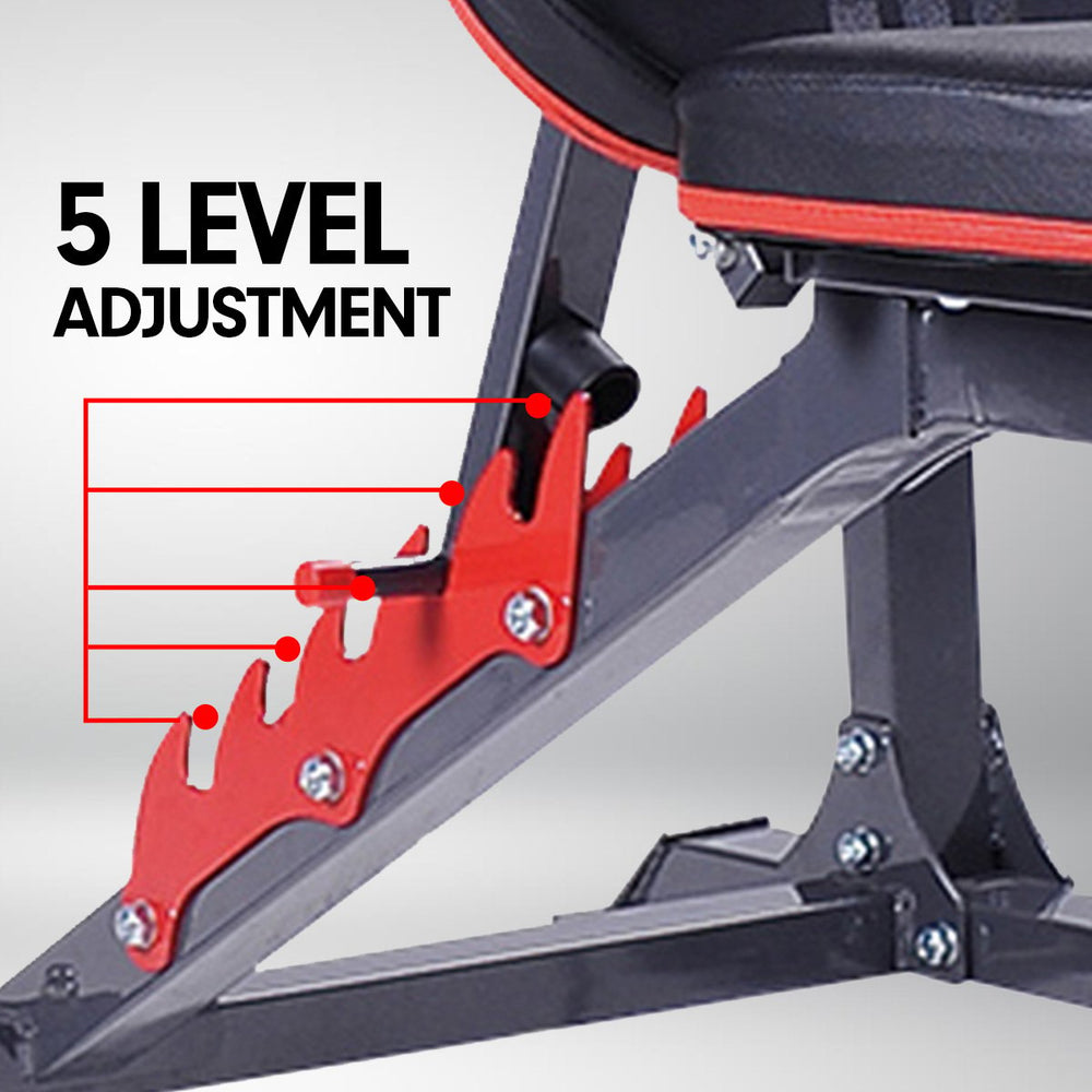 Powertrain Adjustable Weight Bench Press - 301