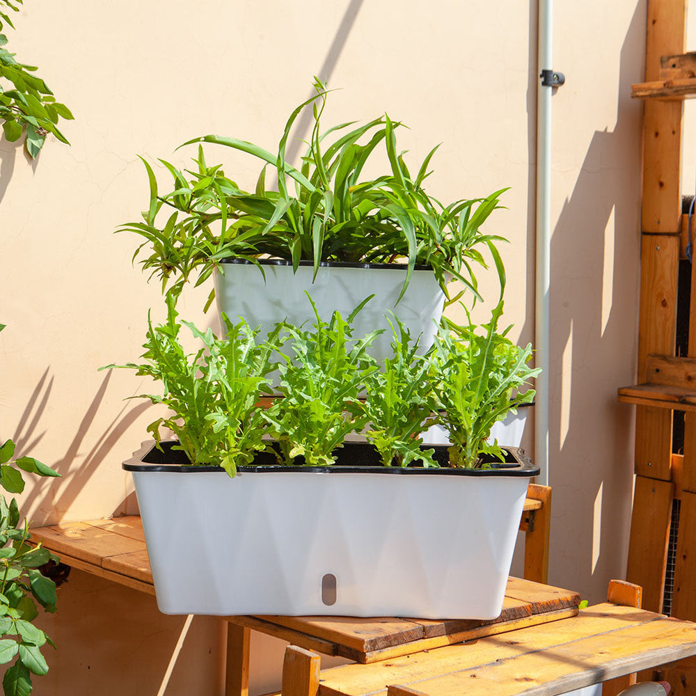 SOGA 2X Large White Rectangular Flowerpot Vegetable Herb Flower Outdoor Plastic Box Garden Decor