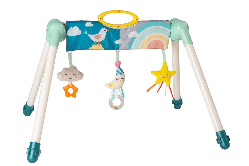 TAF Toys Mini Moon Take To Play Baby Gym